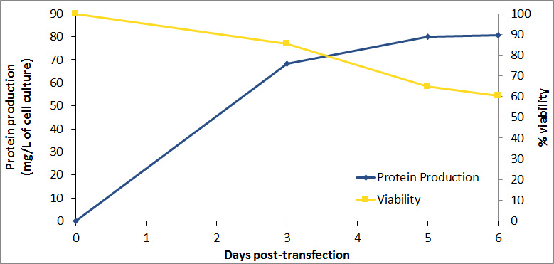 組換え体タンパク質の大量生産用遺伝子導入（トランスフェクション）試薬  FectoPRO