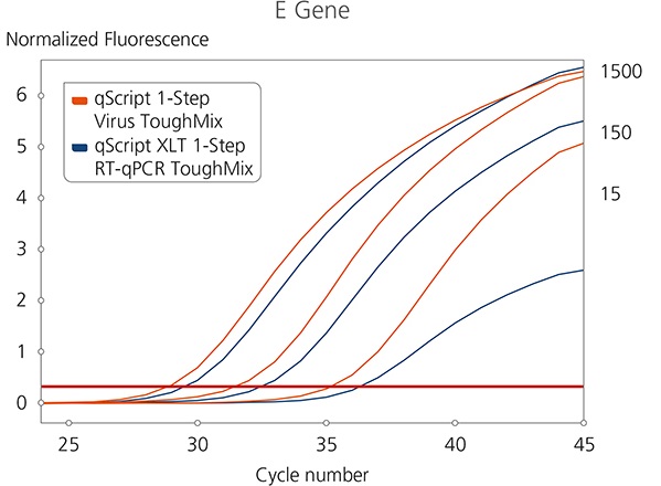 エンベロープ遺伝子を用いた比較