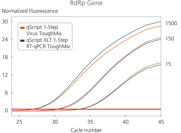 RdRp遺伝子を用いた比較