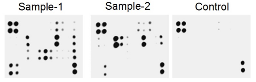 C Series検出結果の例の画像