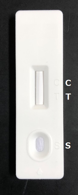 検出用カセット（Detection cassette）