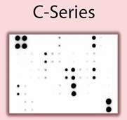 C-Series検出イメージ