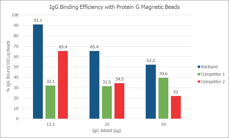 Protein G TrueBlot magnetic beadsの使用例