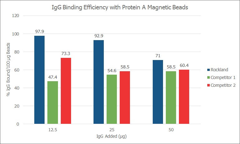 Proteinn A trueblot magnetic beadsの使用例