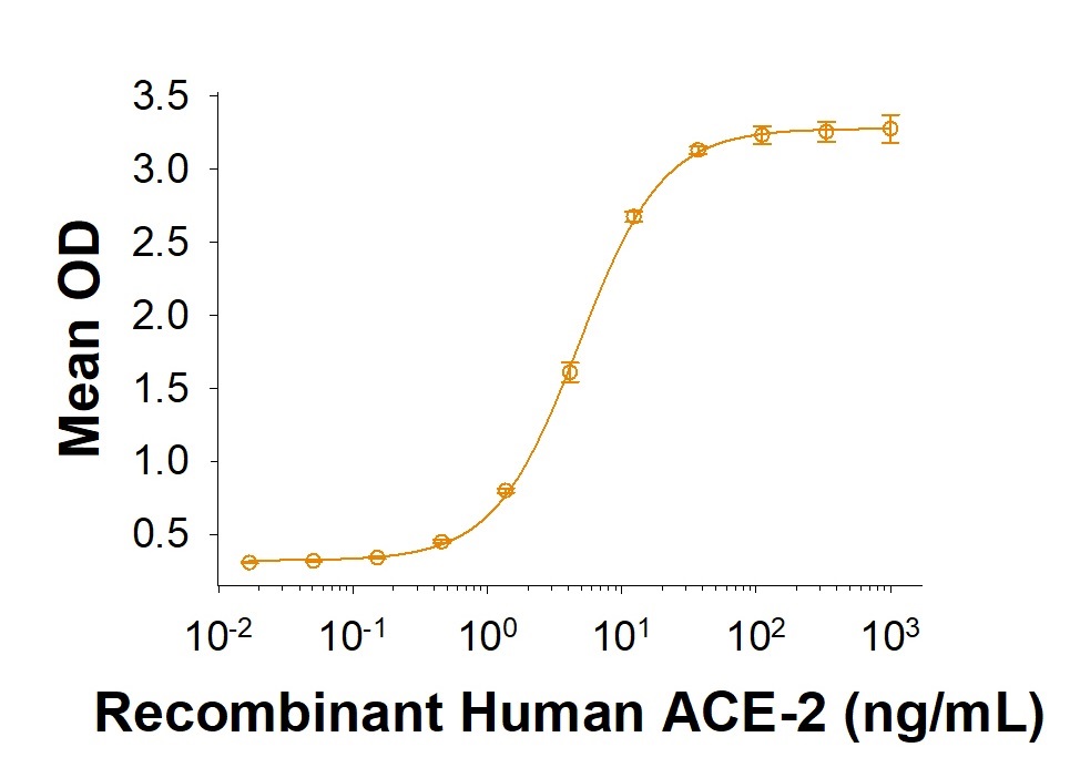 SARS-CoV-2 Spike RBD Fc Chimera Proteinの結合活性の測定