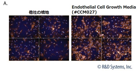 #CCM029を用いた細胞増殖グラフ