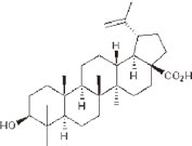 Betulinic acid（#3906）