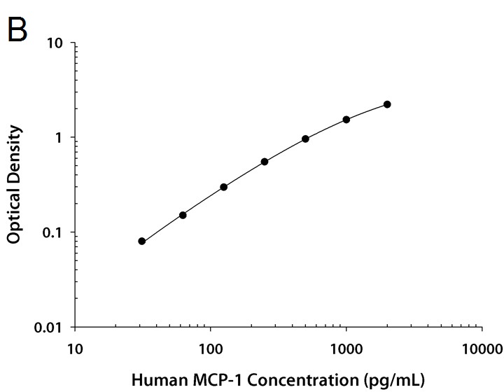 ヒトCCL2/MCP-1検量線血清