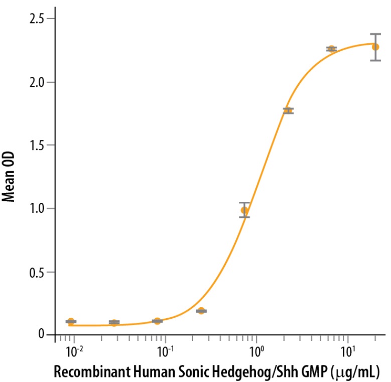GMPグレードタンパク質の生物活性