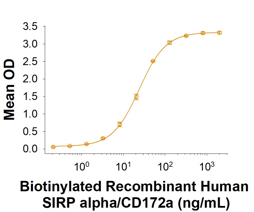 Human SIRPα/CD172a 活性2