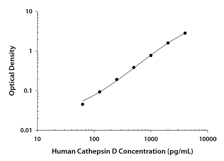 Human Cathepsin D DuoSet ELISA の標準曲線