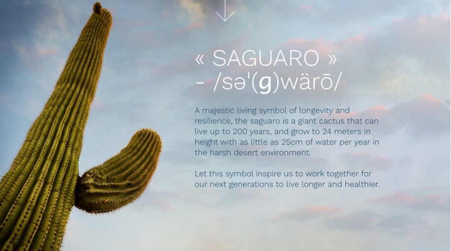  Saguaroサボテン