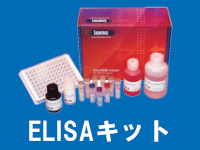 SAL-唾液中バイオマーカー測定ELISA