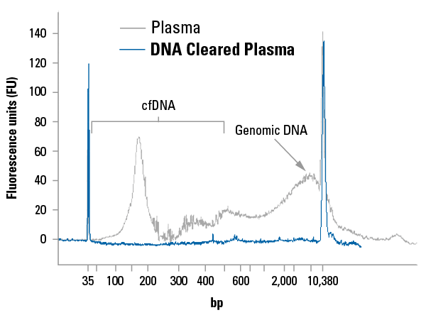 DNA-Cleared-Plasma-Carryover-DNA