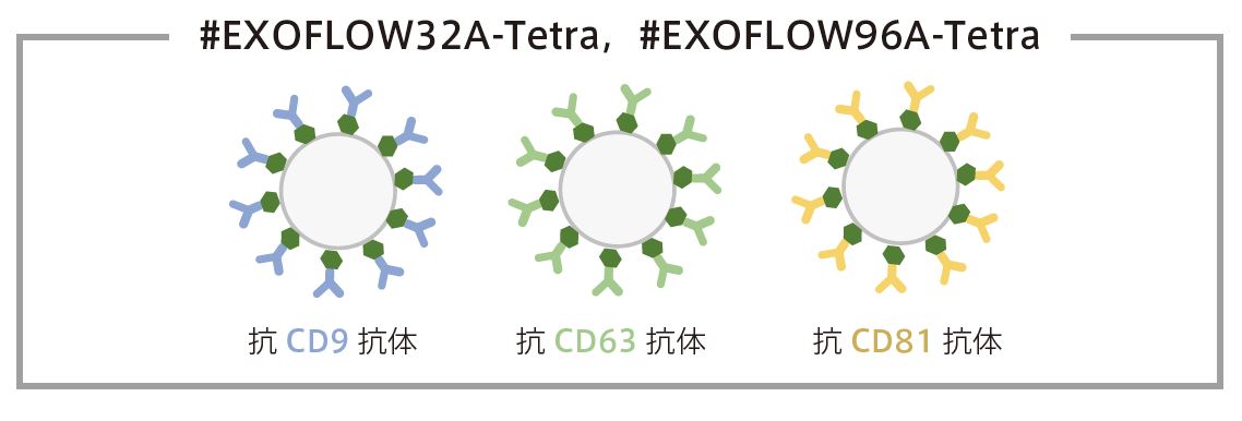 ExoFlow Tetra IP Kit
