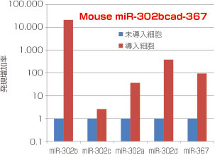 マウス用ベクターを用いた発現量の比較グラフ