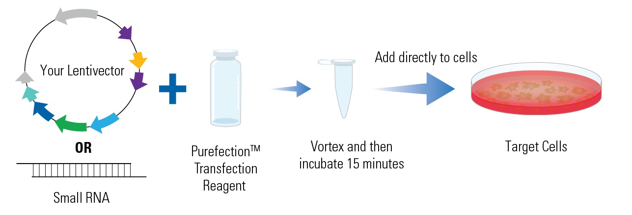PureFection Transfection Reagentの操作法概略