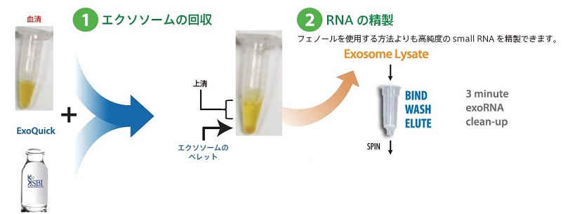操作方法概略①回収～②RNA精製