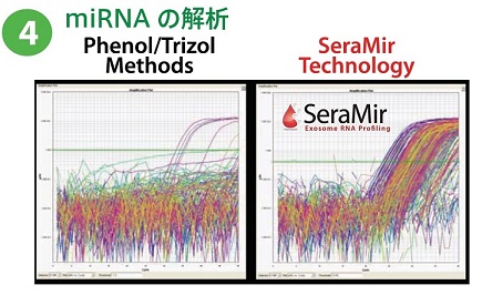 操作方法概略④miRNAの解析