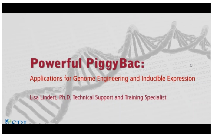 ウェビナー「Powerful PiggyBac：Application for Genome Engineering and Inducible Expression」