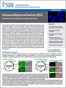 染色体に取り込まれずに遺伝子を持続的に発現できるベクター（エピソーマルベクター）　Enhanced Episomal Vector (EEV)のマニュアル