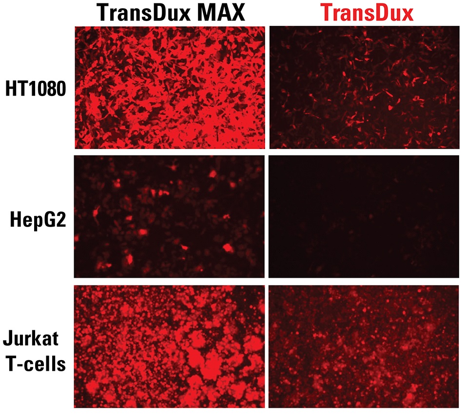TransDux MAXとTransDuxの比較