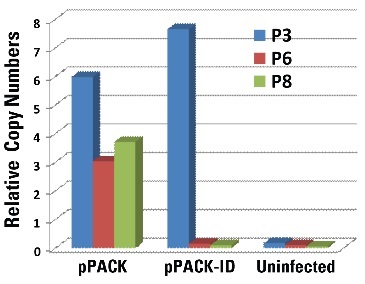 pPACK-IDコピー数