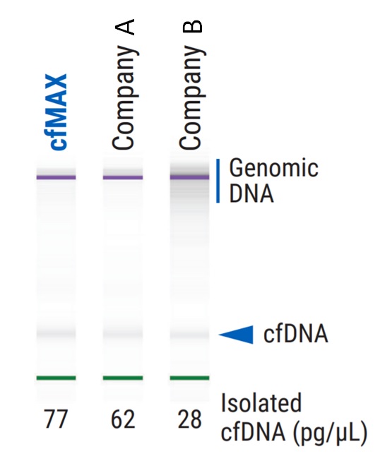  本製品または他社製品を使用してcfDNAを精製