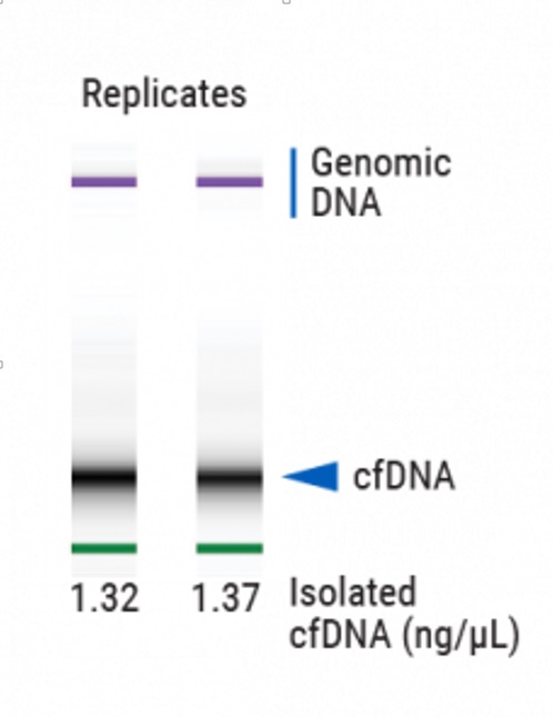  高い再現性でcfDNAを単離した