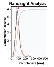 NanoSight tracking分析によるエクソソームの粒径分布分析