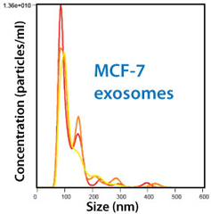 MCF-7細胞由来の精製済みエキソソーム