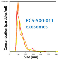 PCS-500-011細胞由来の精製済みエキソソーム
