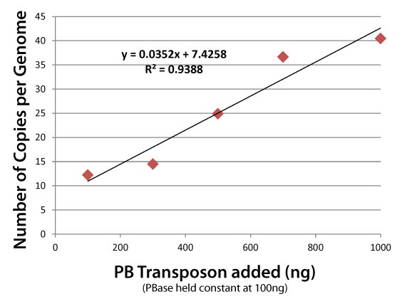 ゲノム中のPiggyBacトランスポゾンのコピー数のカウントグラフ