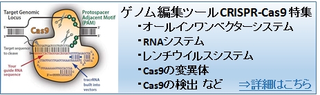 guide RNAによるゲノム編集ツール CRISPR-Cas9特集