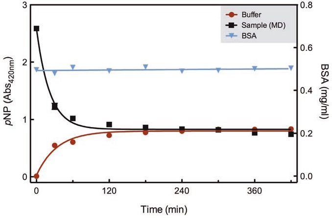 BSAを含むp-ニトロフェノール（<i>p</i>NP）の平衡透析