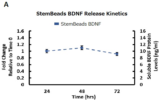 StemBeads BDNFの使用例