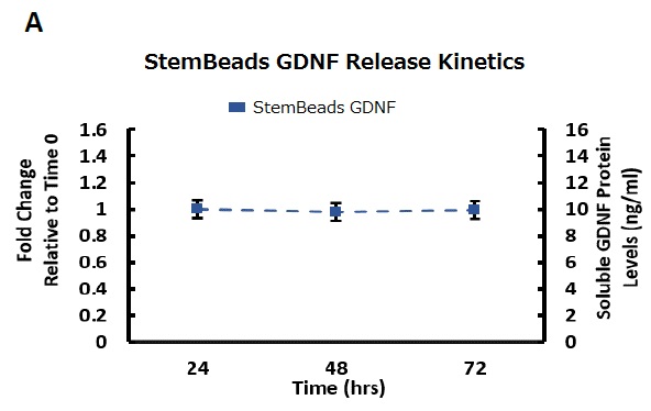 StemBeads GDNFの使用例