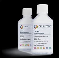 CEL-Melanocyte-Medium