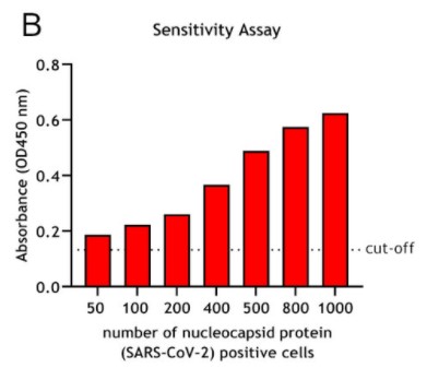 SARS-CoV-2ヌクレオカプシドタンパク質を導入したHEK293細胞のソーティング