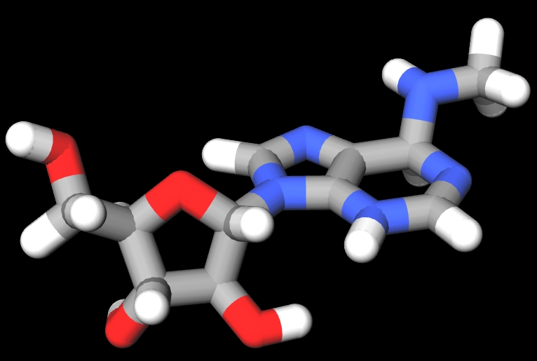 m6A（<i>N</i><sup>6</sup>-methyladenosine）の分子模型
