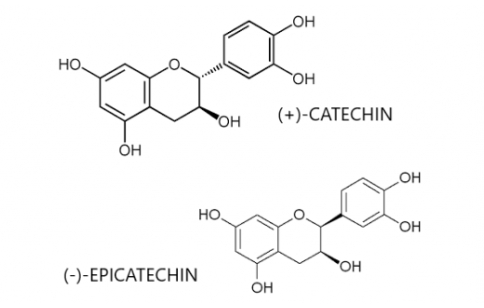 CatechinとProcyanidinの構造式