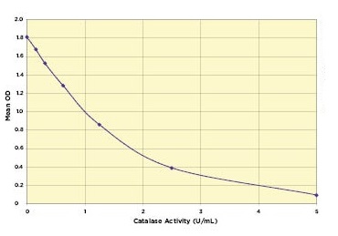 カタラーゼの標準曲線