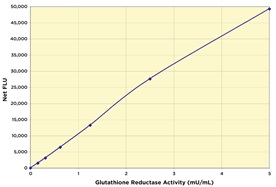 グルタチオンレダクターゼの標準曲線