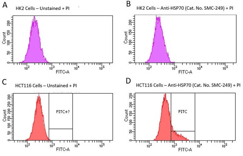 ヒトHCT116およびHK2細胞のフローサイトメトリー結果