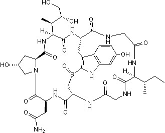 α-Amanitinの化学構造式