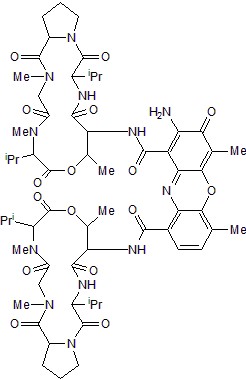 Actinomycin Dの化学構造式