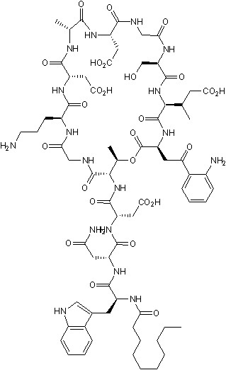 Daptomycinの化学構造式