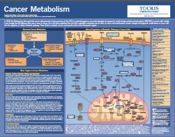 Cancer metabolism poster