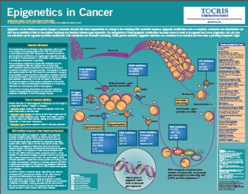 Epigenetics poster