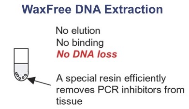 FFPE組織からのDNA抽出